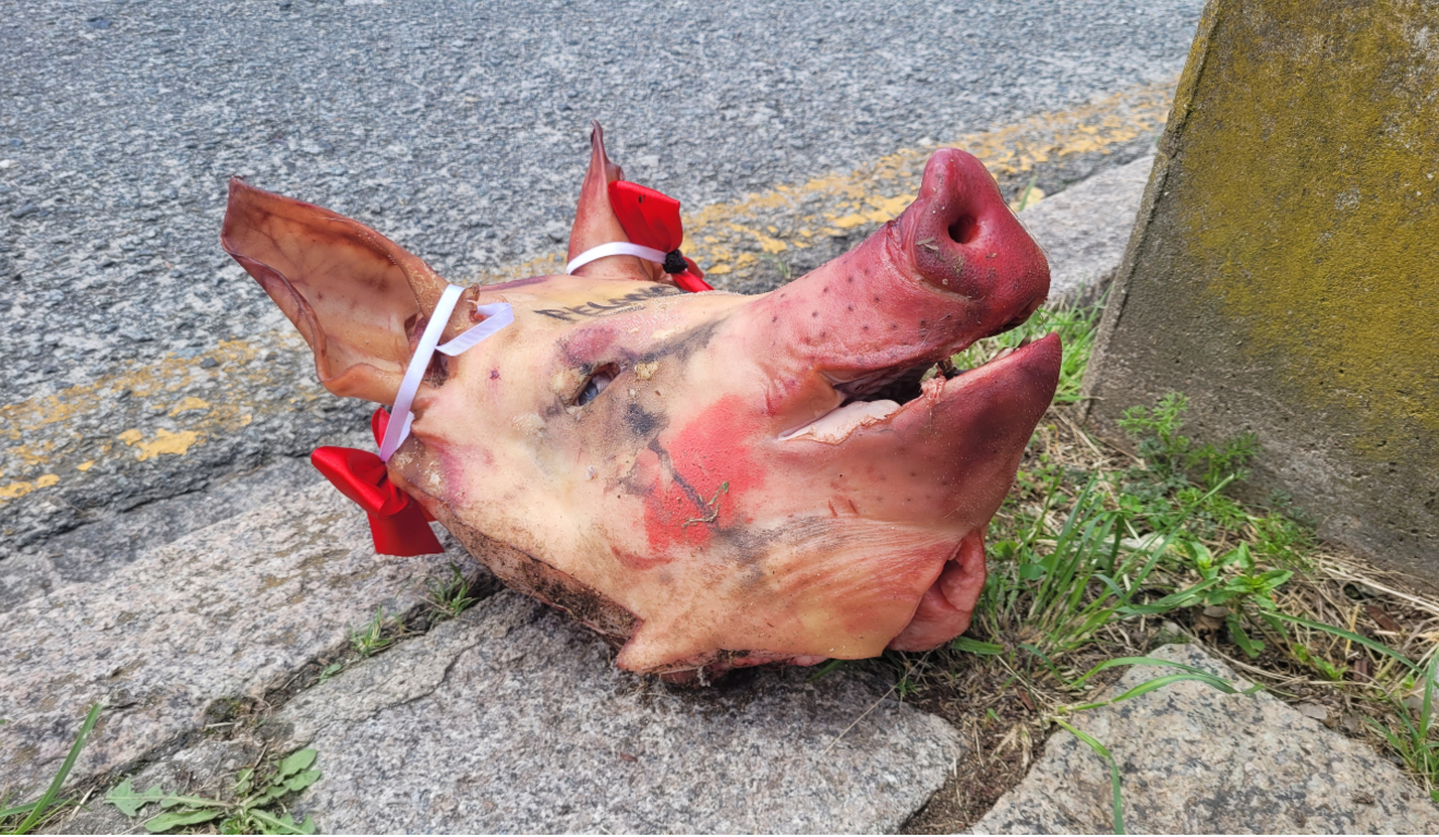 Provocação da torcida do Coritiba. (Foto: Felipe Valente/ RIC.com.br) Provocação da torcida do Coritiba. (Foto: Felipe Valente/ RIC.com.br)