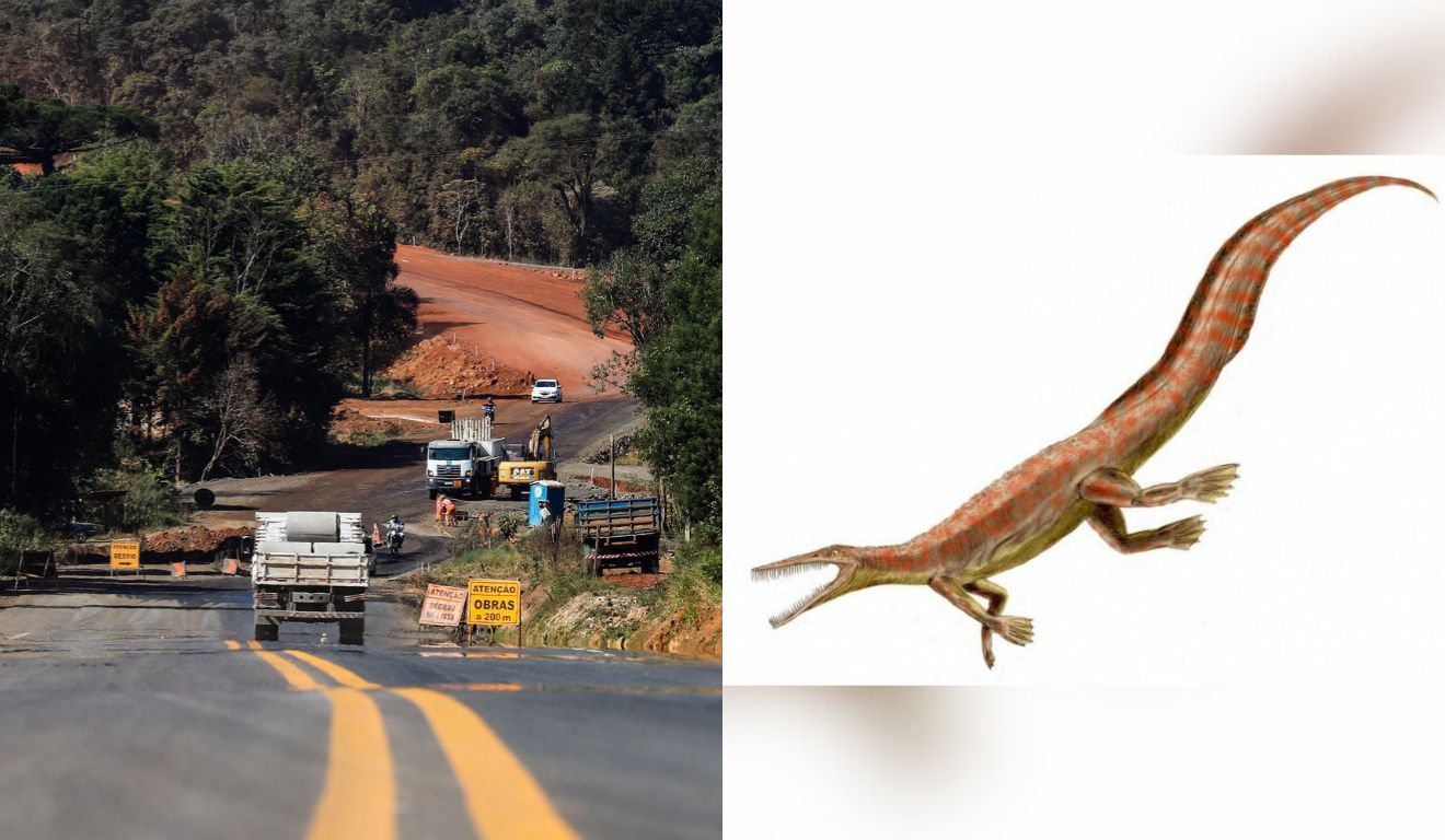 obras suspensas após descobertas de fósseis no Paraná
