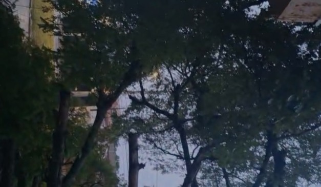 Vendaval no Paraná provocou estragos em algumas áreas