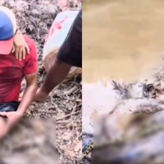 Vídeo de trabalhador após ataque de sucuri