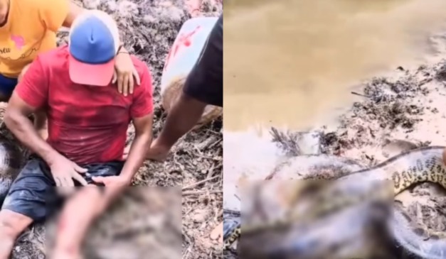 Vídeo de trabalhador após ataque de sucuri