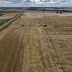 Lavoura de grãos no Paraná; estado quebrou recorde na safra 2024/2025