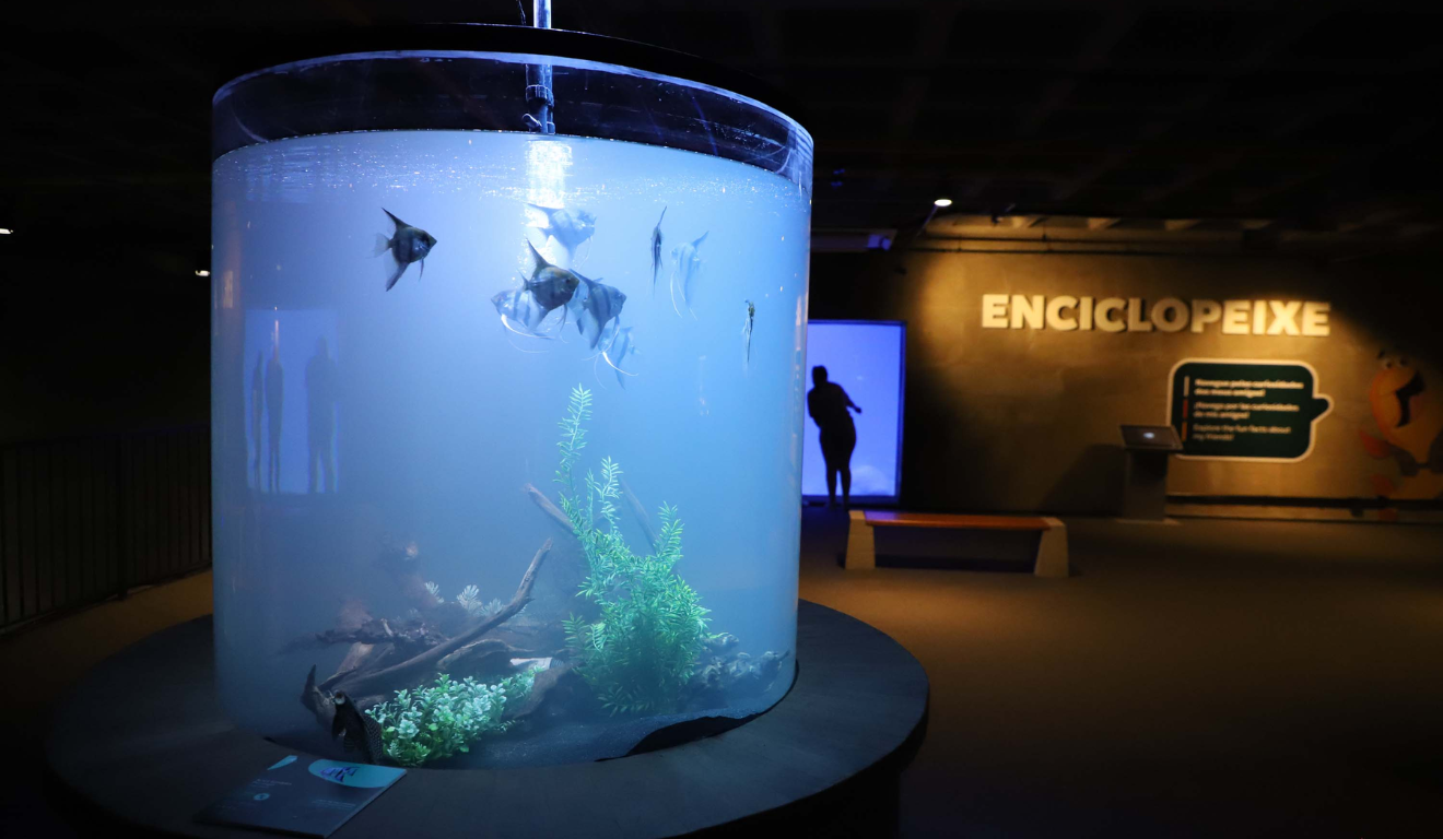 Imagem do aquário de Foz do Iguaçu.