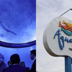 Imagem do aquário de Foz do Iguaçu.