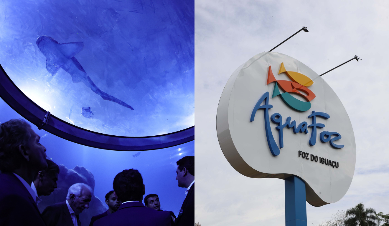Imagem do aquário de Foz do Iguaçu.