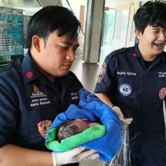 Momento de resgate da bebê recém nascida