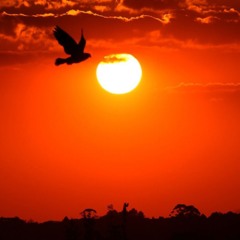 foto do sol para ilustrar calor no paraná