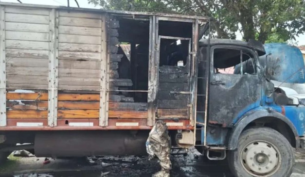 caminhão que pegou fogo com criança dentro