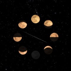 Imagem ilustrativa das fases da lua.