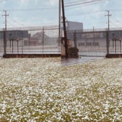 colagem com fotos mostrando granizo em colombo
