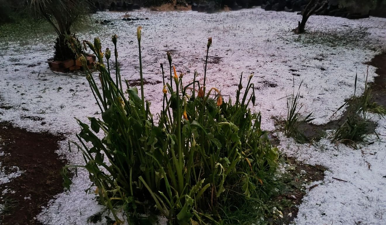 granizo em ponta grossa