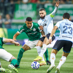 Palmeiras venceu no primeiro turno. (Foto: Lucas Uebel/ Grêmio)