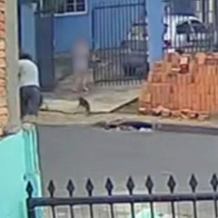 Momento em que um homem arremessa uma pedra contra um cachorro