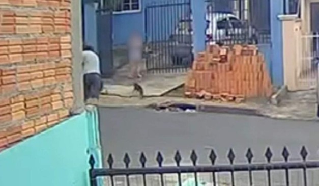 Momento em que um homem arremessa uma pedra contra um cachorro