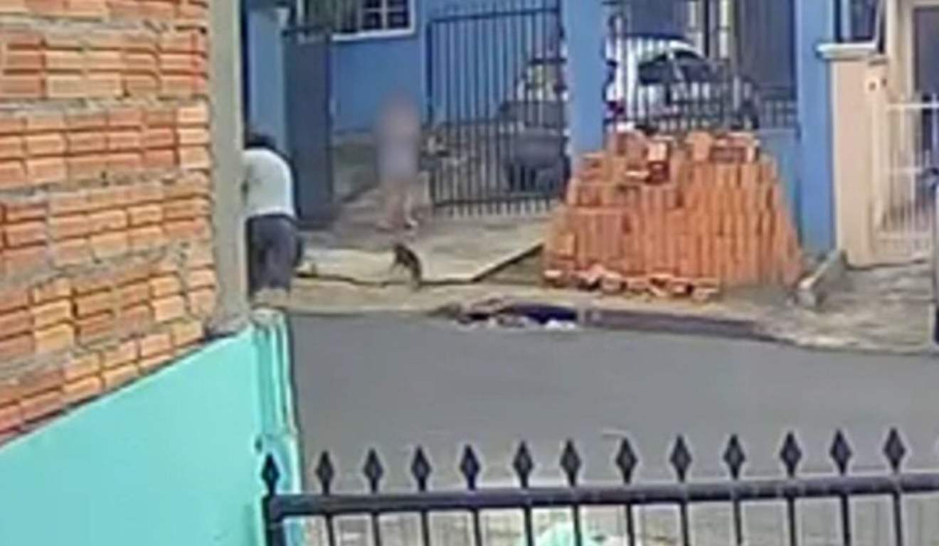 Momento em que um homem arremessa uma pedra contra um cachorro