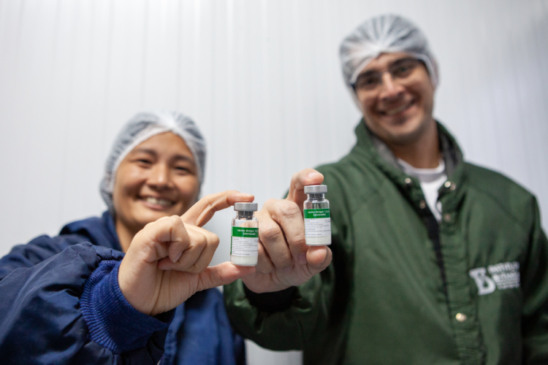 Vacina contra dengue agora em dose única