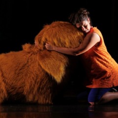 Maria em busca de Hovy.