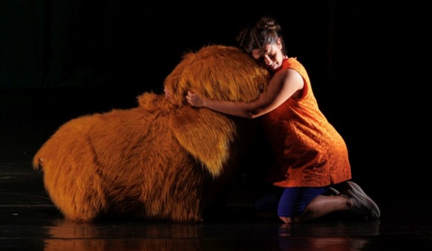 Maria em busca de Hovy.