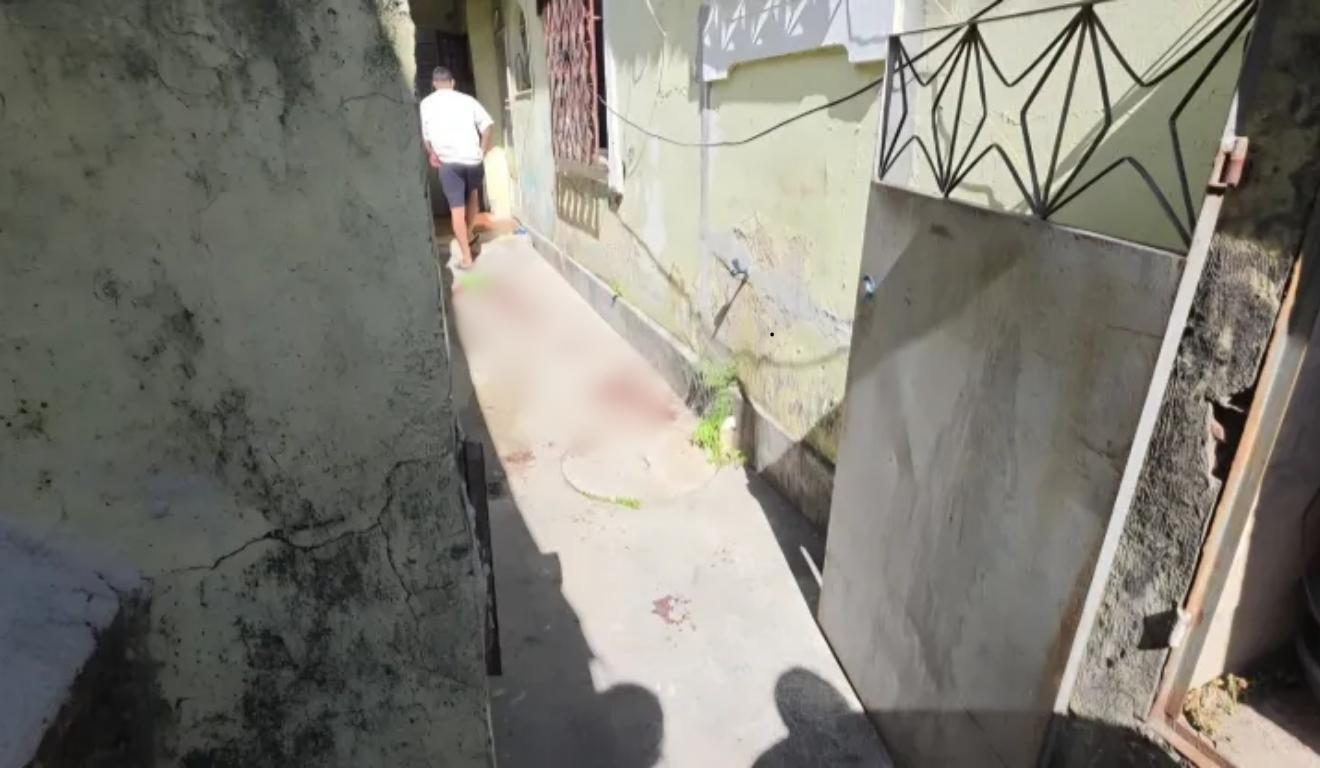 local onde menino foi atacado por pitbull