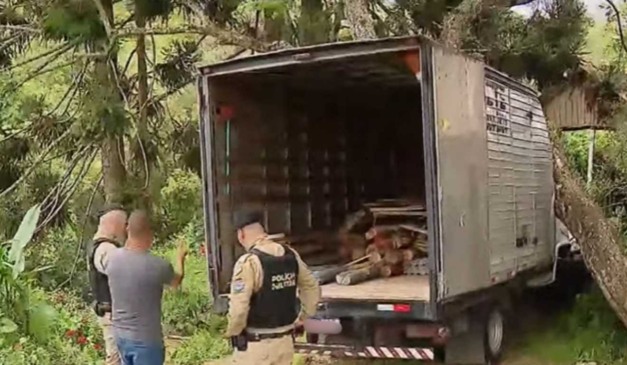 caminhão batido em árvore