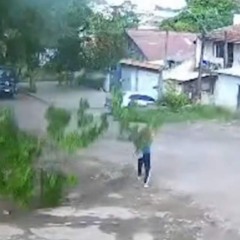 Mulher sendo atingida por galho