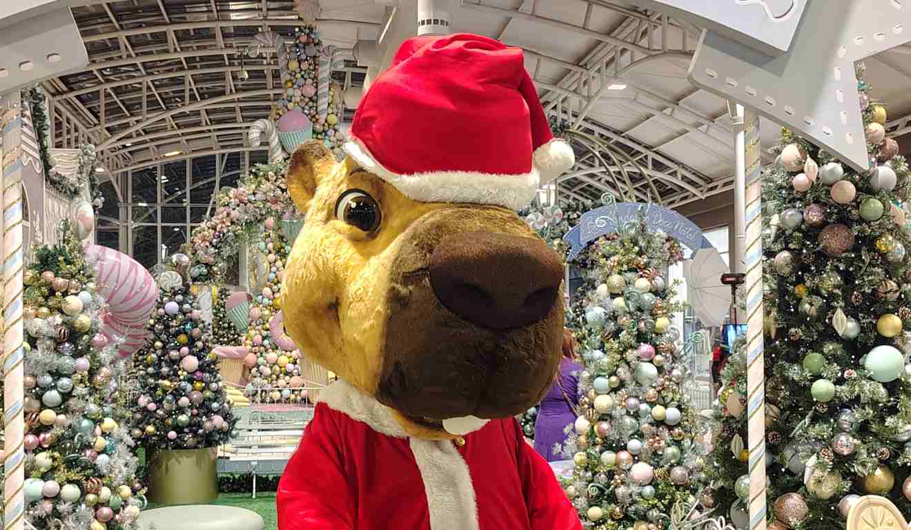 Fantasia de capivara natalina