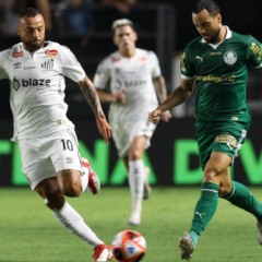 Último jogo entre Palmeiras e Santos ocorreu pelo Paulistão, em janeiro. (Foto: Cesar Greco/Palmeiras)