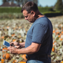 Produtor rural em sua lavoura utilizando um tablet para avaliar alternativas financeiras, como a recuperação judicial, diante do endividamento.