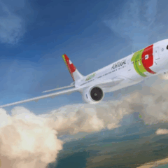 imagem ilustrativa de um avião da TAP voando