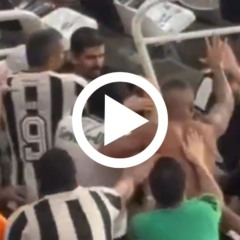 Botafogo saem no tapa até o momento em que tudo muda