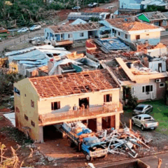 web story capa isadora