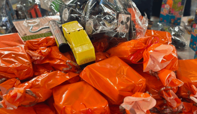 Brinquedo do Bem 2025