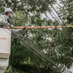 Copel falta de luz vendaval Paraná