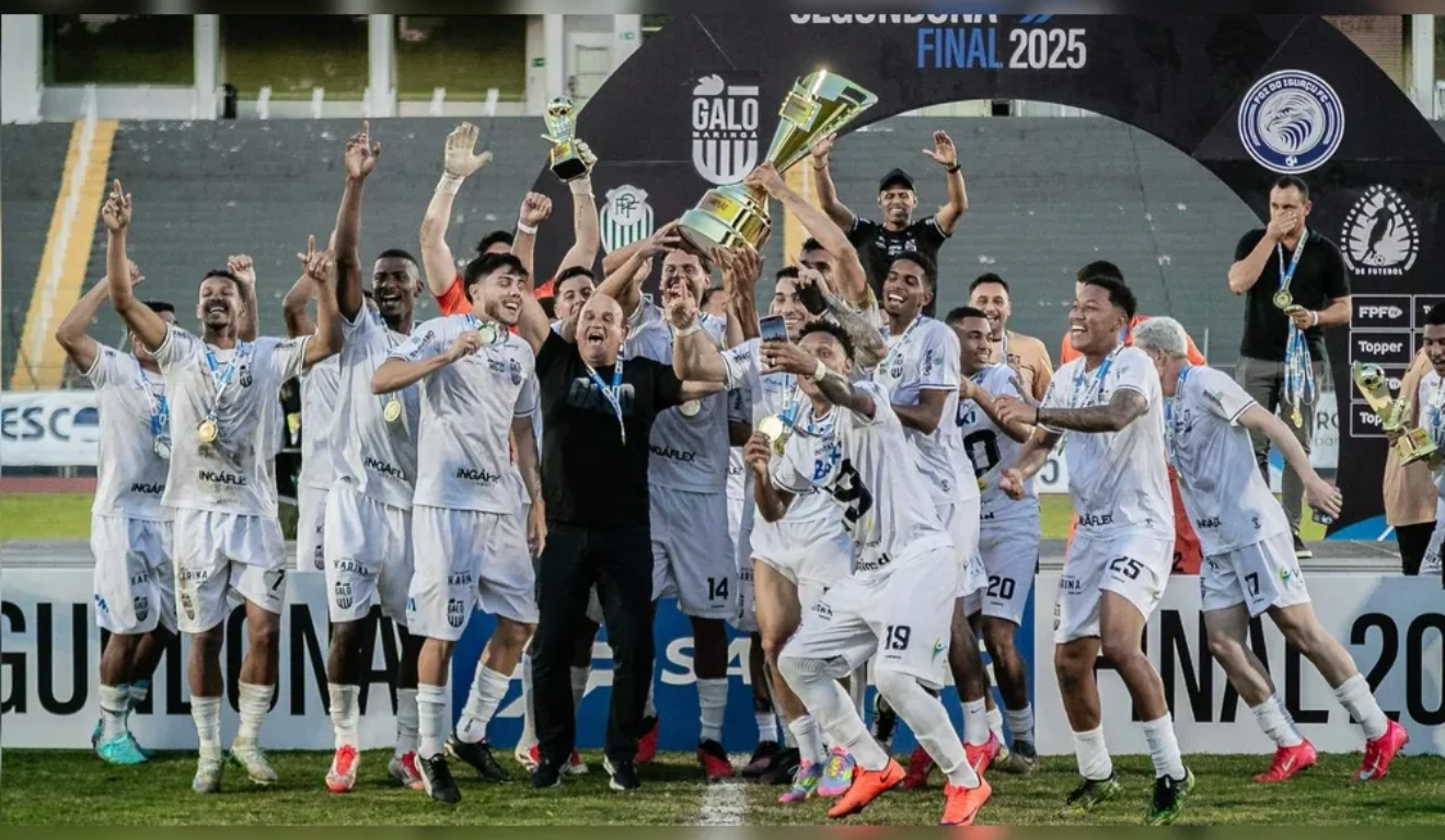 Galo Maringá Paranaense