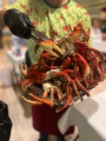 Ópera de Bambu abre a temporada de caranguejo e celebra parceria com pescadores de Guaraqueçaba