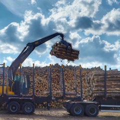 Trator com garra em operação florestal no Paraná