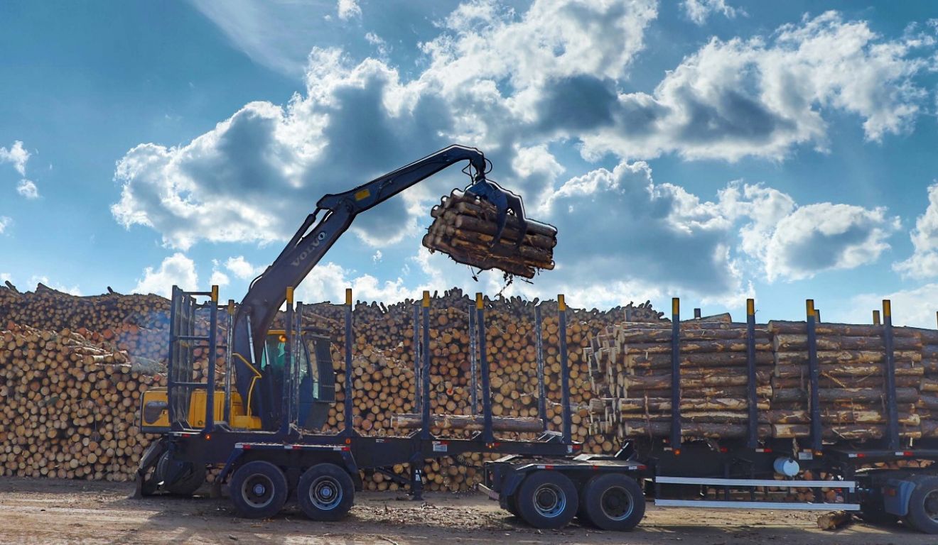 Trator com garra em operação florestal no Paraná