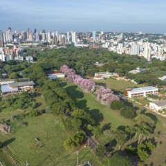 Vista a&eacute;rea da Universidade Estadual de Maring&aacute;, no Noroeste do Paran&aacute;; vestibular 2025 da institui&ccedil;&atilde;o conheceu aprovados