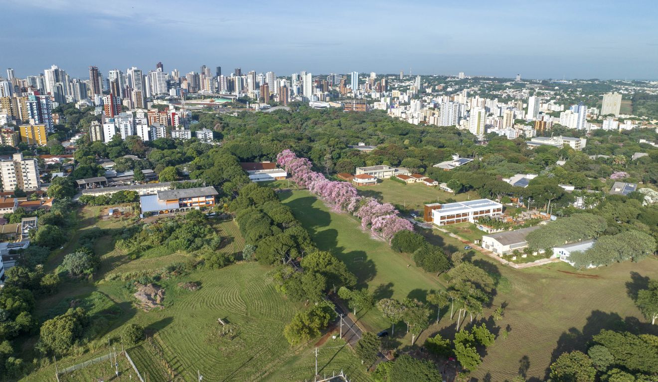 Vista aérea da Universidade Estadual de Maringá, no Noroeste do Paraná; vestibular 2025 da instituição conheceu aprovados