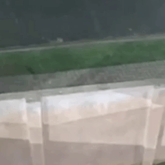 Vídeo Homem em surto cai de moto, ataca socorrista e morre em Curitiba