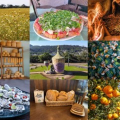 “Descobrindo Tesouros” destaca gastronomia de origem no Mercado Municipal