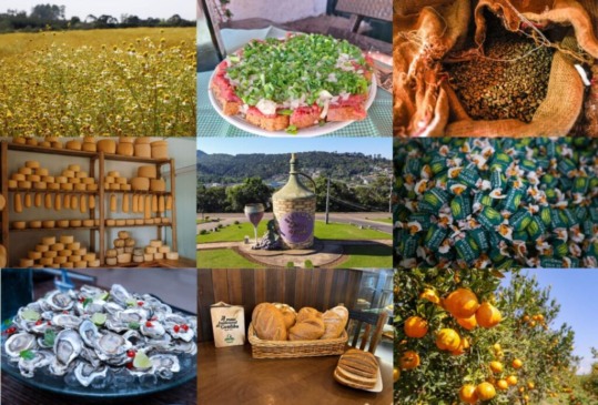 “Descobrindo Tesouros” destaca gastronomia de origem no Mercado Municipal