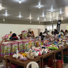 a&ccedil;&atilde;o brinquedo do bem 2025 em maring&aacute;, com mesas cheias de brinquedo
