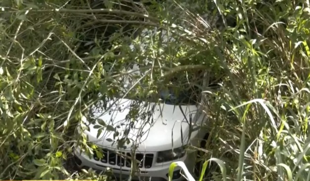 carro que os cães estavam dentro e causaram o acidente