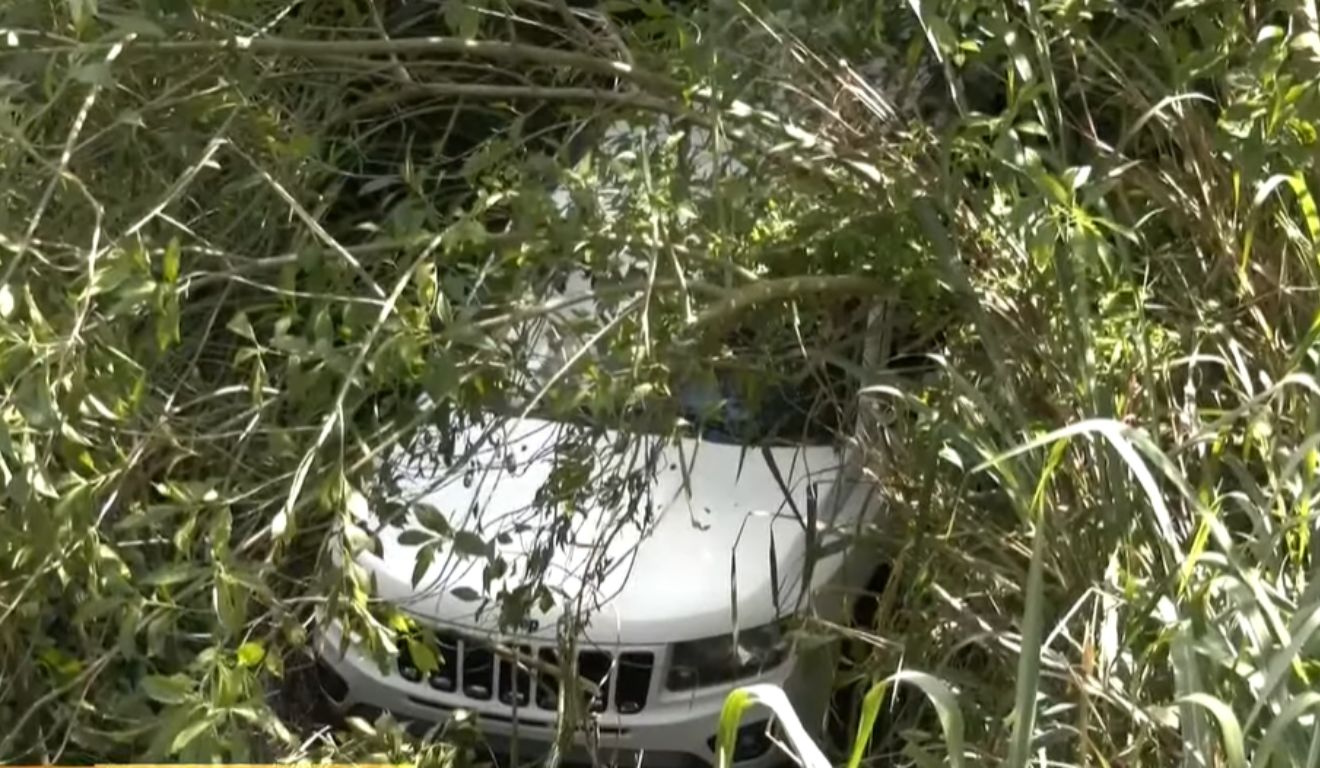 carro que os cães estavam dentro e causaram o acidente