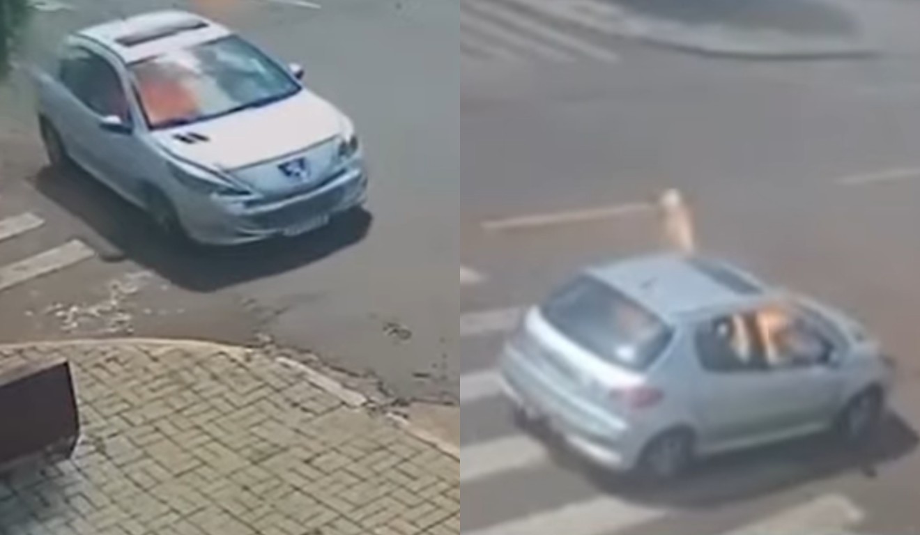 Montagem com fotos de carro em chamas em Cascavel