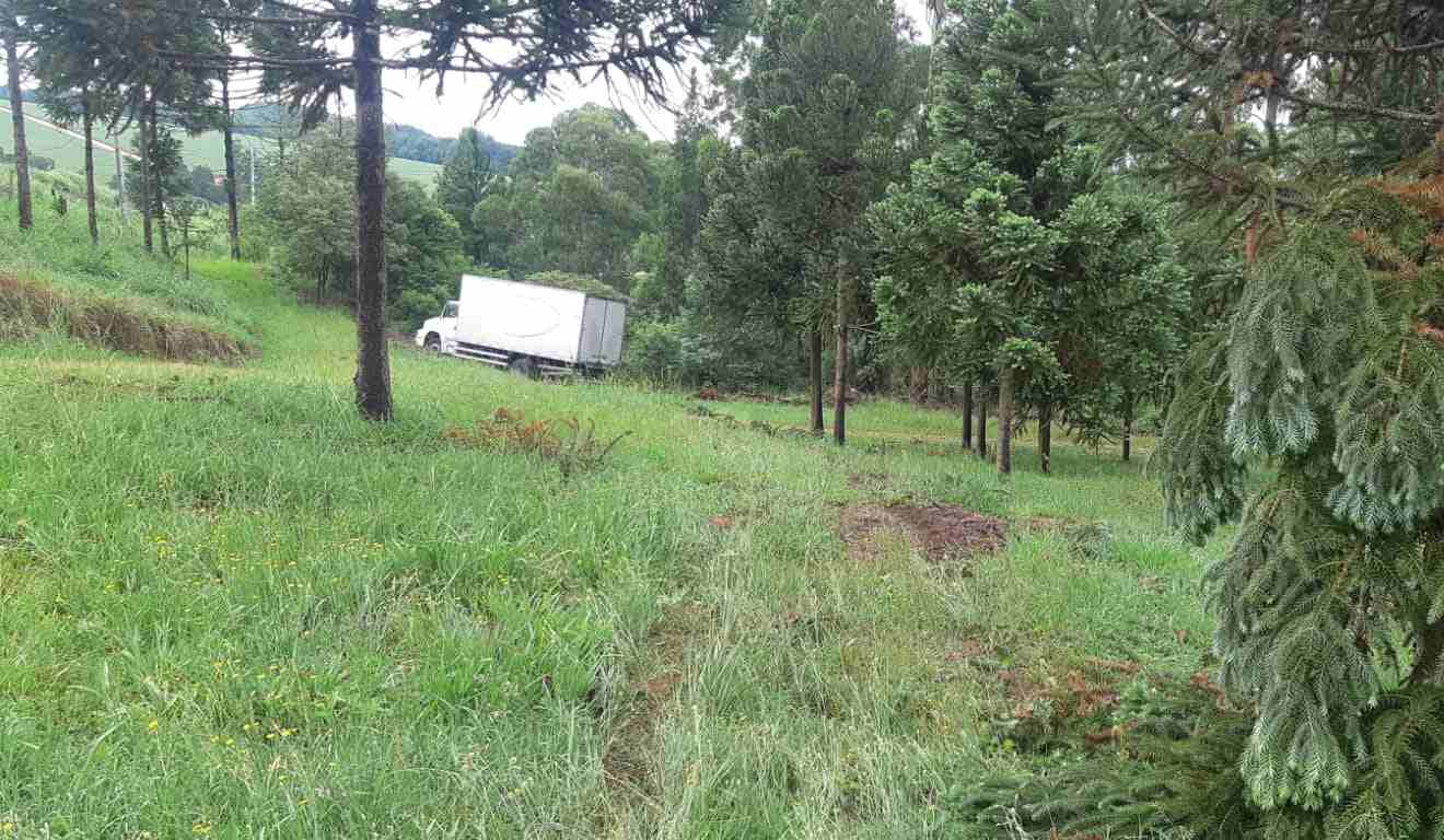 Caminhão que atropelou duas pessoas na BR-376, em Ponta Grossa