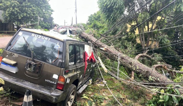 queda de árvore após chuva em curitiba