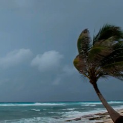 foto de praia com vento para ilustrar chegada de ciclone extratropical