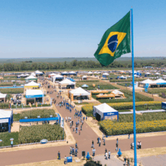dia de campo c.vale visto de cima, com bandeira do brasil e ceu azul